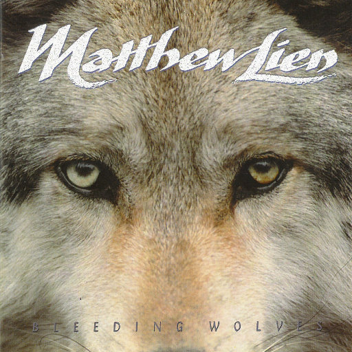 雁门照片免费观看
